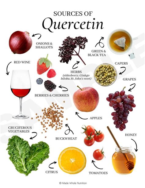 Sources of Quercetin Handout — Functional Health Research + Resources ...