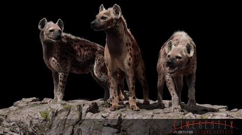 ArtStation - Hyena Pack