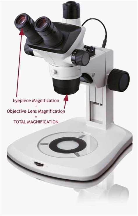 Microscope World Blog: July 2014