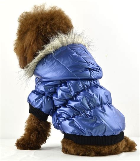 2017 Fashion Style Dog Snow Suit Pet Clothing Pomeranian Poodle Apparel From Amypetwear268, $219 ...