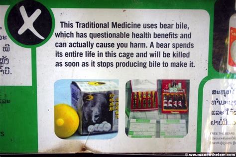 Free The Bears Laos and the Vile Bear Bile Trade in Asian Medicine