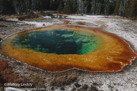 Day Hike to Morning Glory Pool in Yellowstone National Park - Plaid Shirt