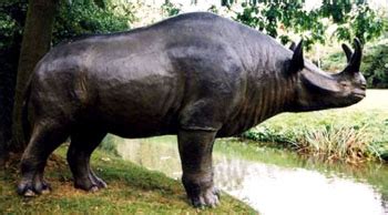 BRONTOTHERE TITANOTHERE BRONTOTHERIUM FOSSILS FOR SALE