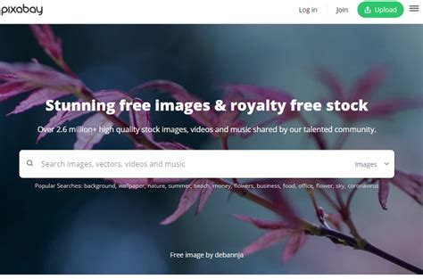 The Best Sites to Download Free Images [Verified 2022]