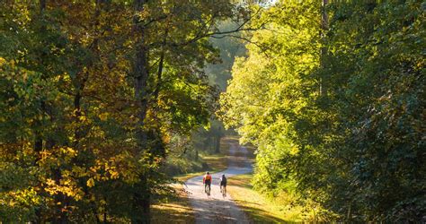 A Perfect Fall Bike Ride on the Neuse River Greenway Trail in Raleigh, N.C.