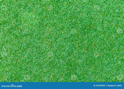 Seamless Green Grass Texture from Golf Course Stock Image - Image of grassland, natural: 45595005