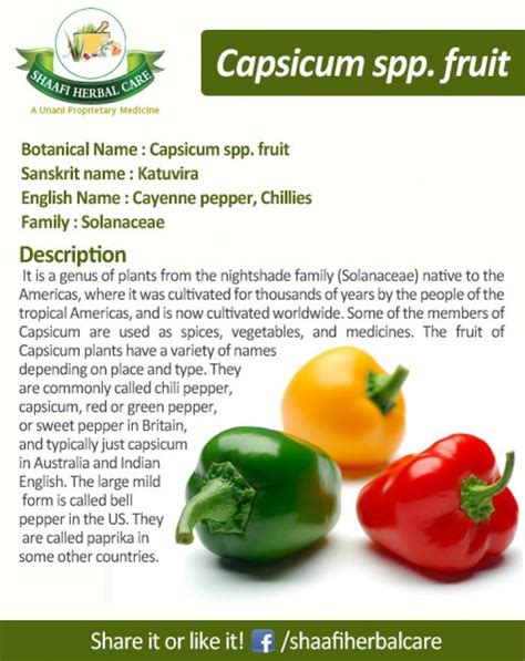 Health Benefits Of Capsicums - Indiatimes.com