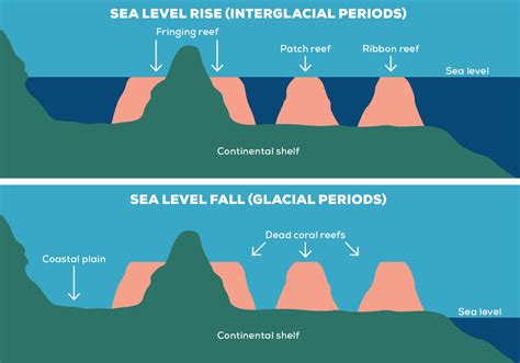 Great Barrier Reef Timeline - GBR Biology