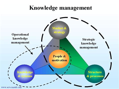 Knowledge Management Review: May 2010