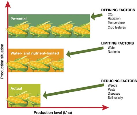 4 Agronomic and Environmental Effects of Genetically Engineered Crops ...