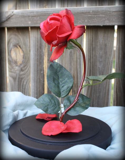 Enchanted Rose Dome Life Size Prop Replica - Etsy