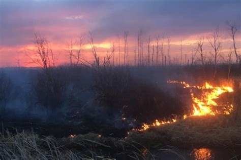 4,000-acre northern Minnesota wildfire is 90 percent contained