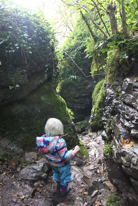 Ebbor Gorge, Priddy, Somerset. An... - Wild Walks With Kids | Facebook