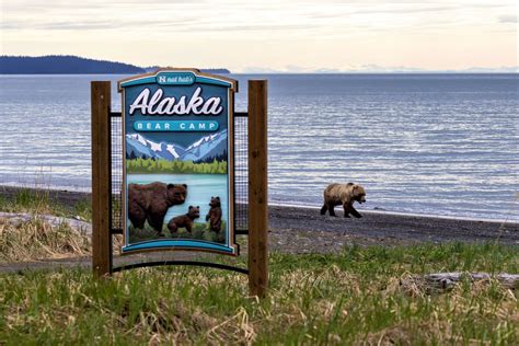 The Homestead History of Nat Hab’s Alaska Bear Camp