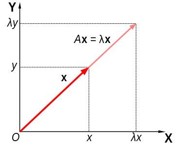 Invariant subspace problem - Wikipedia