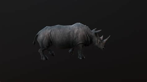 Rhinoceros - 3D Model by MadeCG