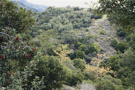 Chaparral Biome, California Photograph by Earl Scott