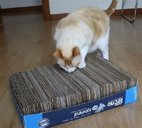 DIY Cardboard Cat Scratcher Archives - Ideas for DIY