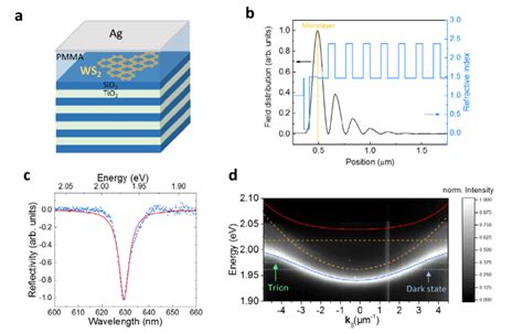 | Exciton-Polaritons a) Schematic illustration of the photonic... | Download Scientific Diagram