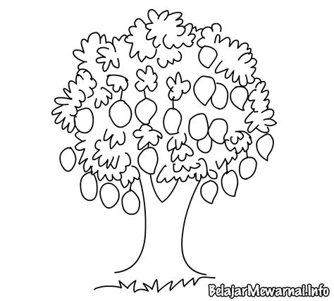 Terpopuler 22+ Mewarnai Gambar Pohon Mangga - Serba Serbi Gambar