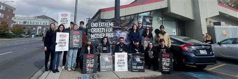 Protesting Denny’s Cruelty: Chicago | Animal Equality