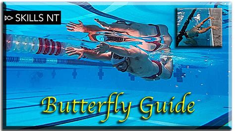 Improve your Butterfly swimming (5 Stages) technique for beginners - Skills N' Talents