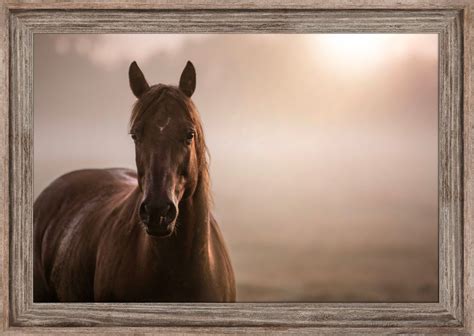 Horse wall art framed horse art oversize wall art western | Etsy