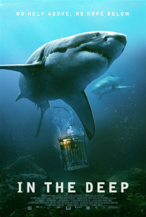 47 Meters Down (2017) Pictures, Trailer, Reviews, News, DVD and Soundtrack