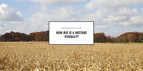 How Big Is A Hectare Visually? - Measuring Stuff