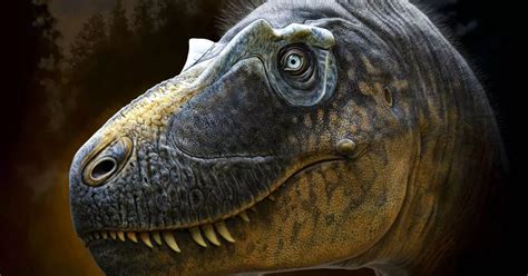 'Frightful' dinosaur with HORNS around its eyes roamed the Earth 76million years ago - TrendRadars