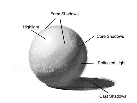 5 Essential Light and Shadow Types that Every Artist Should Know