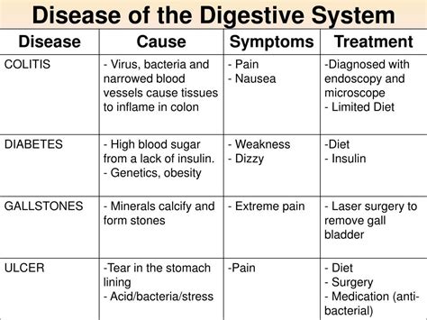 PPT - The Digestive System PowerPoint Presentation, free download - ID:2189008