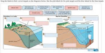 Solved Zones in lakes and oceans are delineated by depth, | Chegg.com