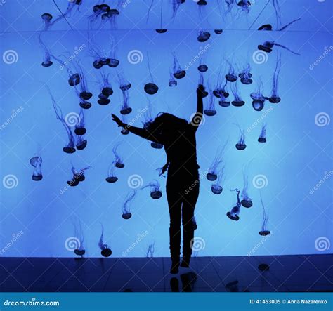 Aquarium with Jellyfish in Toronto Editorial Image - Image of water, girl: 41463005