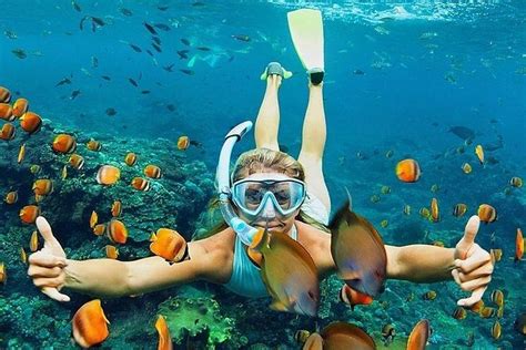 All Inclusive : Bali Blue Lagoon Snorkeling With Lunch And Transport: Triphobo