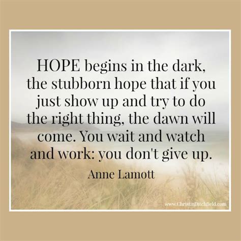 Hope Quote Anne Lamott - Christin Ditchfield