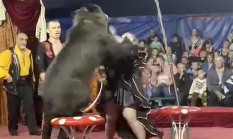 Depressed Circus Bear Attacks Trainer In Front Of Terrified Audience - River City Post