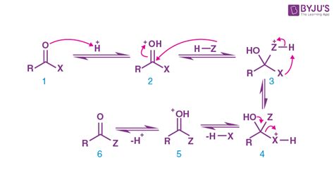 Nucleophilic Acyl Substitution: Introduction, Types, Reactivity Trends ...