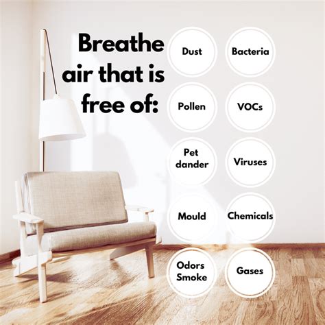 Air Purifiers for Allergies – Dust Mite Allergy Solutions