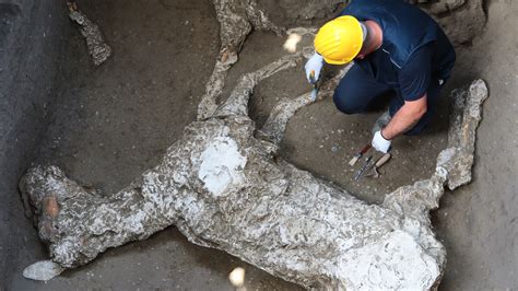 New Excavation At Pompeii Uncovers Victim Crushed By Massive Rock : The Two-Way : NPR