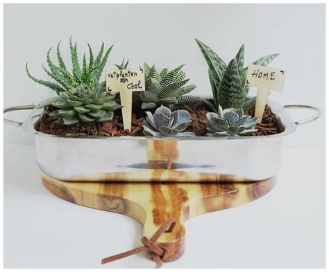 28 Creative Indoor Succulent Planter Ideas to Brighten Your Space