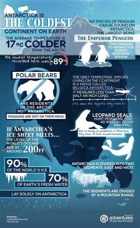 Antarctica Fun Facts [INFOGRAPHIC] | Antarctica travel, Fun facts, Travel facts