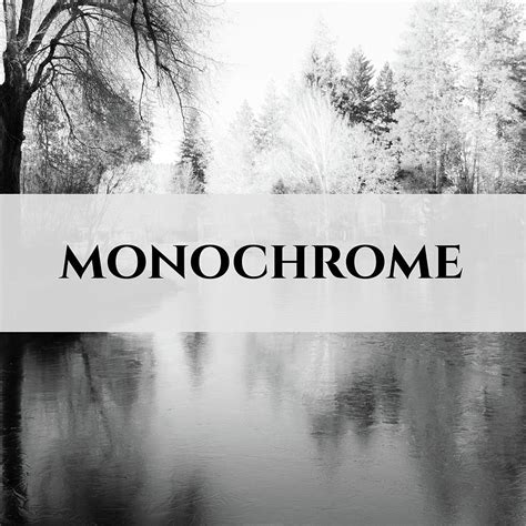 Monochrome Logo Photograph by Jason McPheeters - Fine Art America