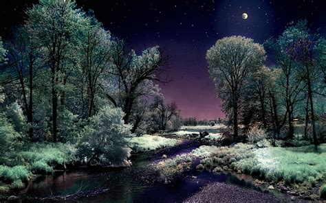 Moonlight Landscape Wallpapers - 4k, HD Moonlight Landscape Backgrounds ...