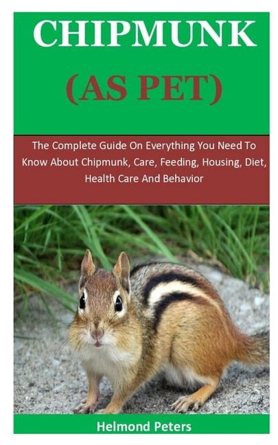 Chipmunks As Pets : The Complete Guide On Everything You Need To Know ...