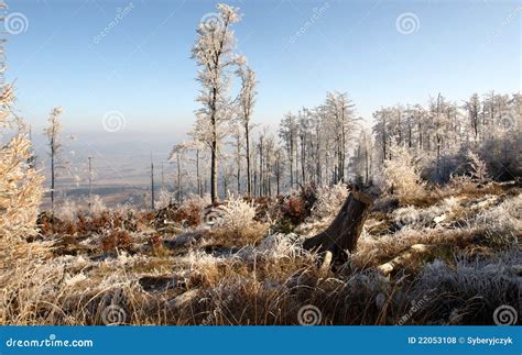 Polish mountains - Sudety stock photo. Image of poland - 22053108