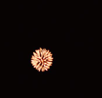 Fireworks Gif - IceGif