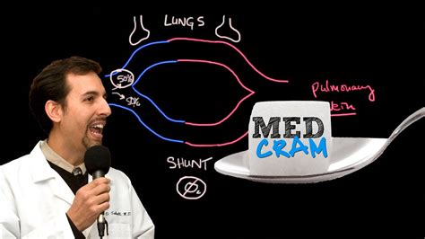 Shunting Explained Clearly (Pulmonary Shunt) - YouTube