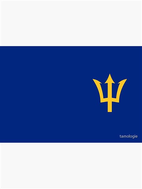 "Barbados Trident Flag" Hardcover Journal for Sale by tamologie | Redbubble