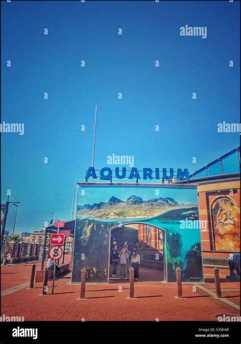 Aquarium, V&A Waterfront, Cape Town, South Africa Stock Photo - Alamy